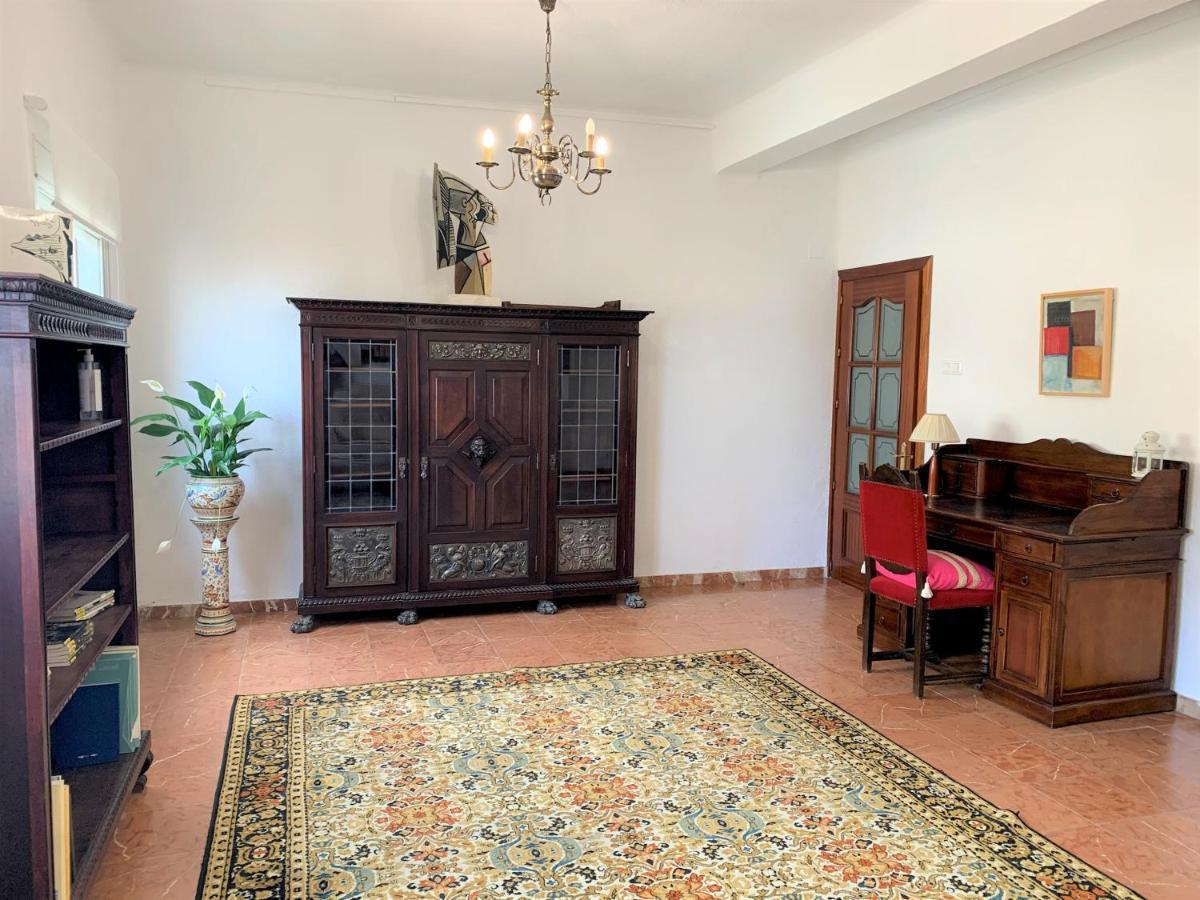 Wide And Traditional- 2bd 1bth- Gavidia Apartament *